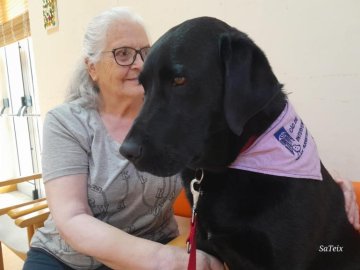 Os nossos dias correm muito melhor quando recebemos a visita da Escola de Cães-guia para Cegos.